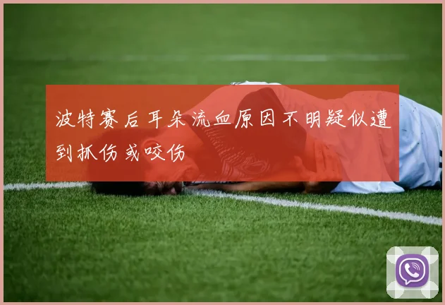 波特赛后耳朵流血原因不明疑似遭到抓伤或咬伤